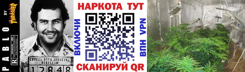 Купить наркотики цена Себеж COCAIN  Alpha PVP  МЕФ  ГАШИШ  Каннабис 