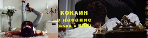 дмт Арсеньев