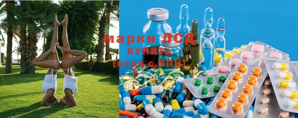 дмт Арсеньев