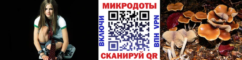 Галлюциногенные грибы Cubensis  купить наркотики сайты  Себеж 